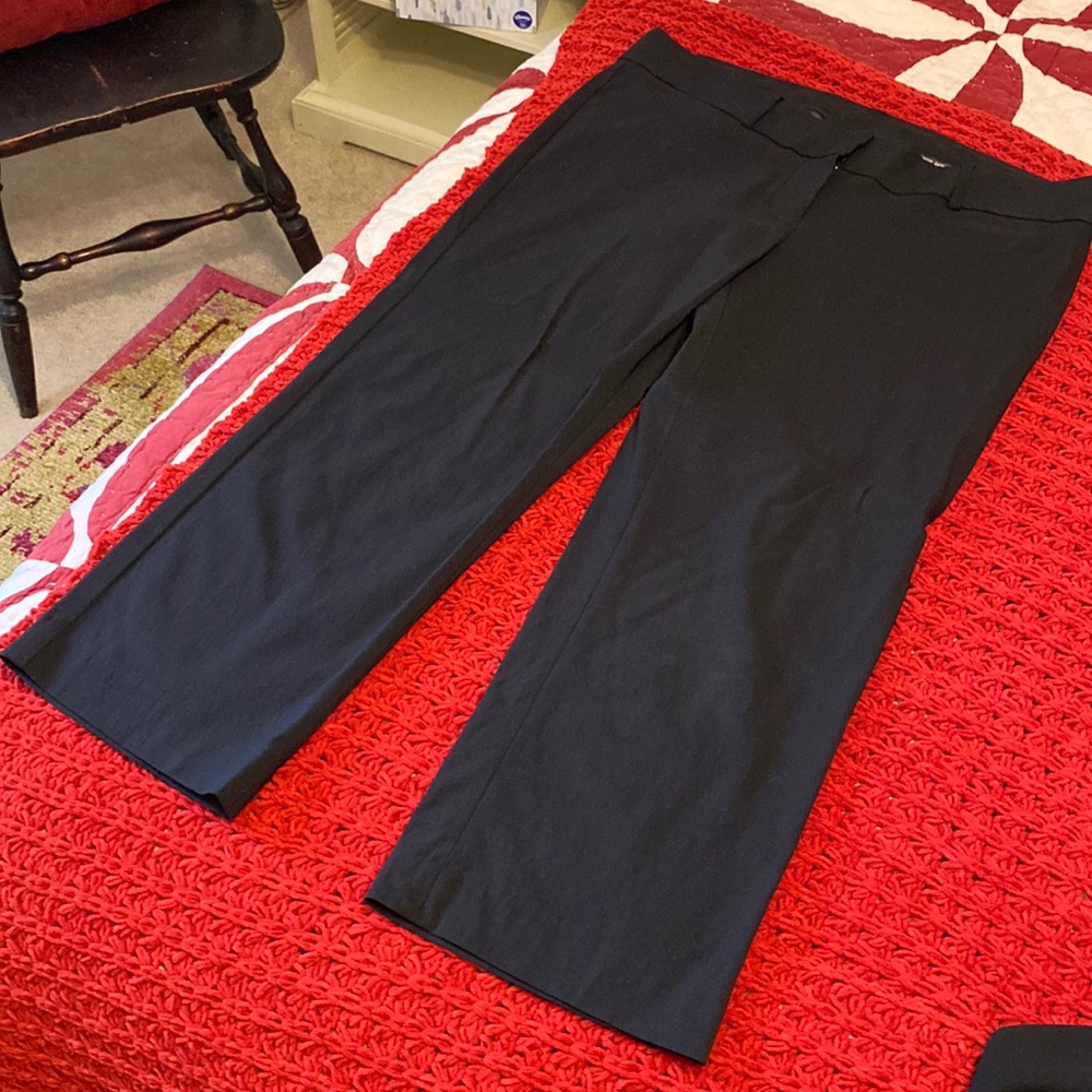 Express Capri Pants